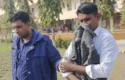 কানে ডিভাইস লাগিয়ে পরীক্ষা দিতে এসে আটক যুবক